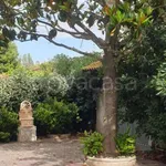 Rent 4 bedroom house of 70 m² in Fiumicino