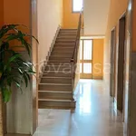 Rent 2 bedroom apartment of 70 m² in Torino