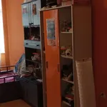 Rent a room in poznan