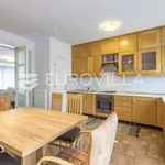 Rent 4 bedroom apartment of 170 m² in Zagreb