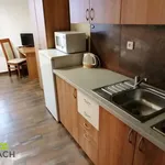 Rent 1 bedroom apartment of 20 m² in Staré Město