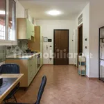 Rent 1 bedroom apartment of 35 m² in Bologna