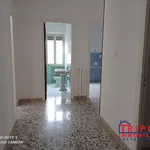 Rent 2 bedroom apartment of 110 m² in Caltanissetta