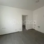 Rent 2 bedroom apartment of 50 m² in Torino