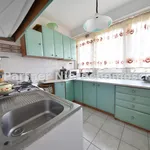 Rent 2 bedroom apartment of 40 m² in Toruń