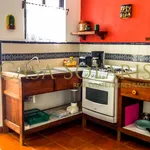 Rent 1 bedroom apartment in Guanajuato