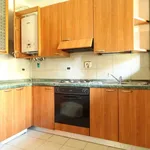 Rent 2 bedroom apartment of 60 m² in Vicenza