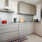 Rent 1 bedroom apartment in Antwerpen