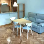 Rent 1 bedroom apartment of 46 m² in Madrid