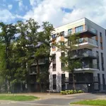 Rent 3 bedroom apartment of 52 m² in Lodz