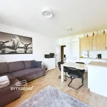 Rent 3 bedroom apartment of 59 m² in Holýšov