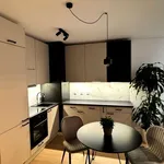 Rent 2 bedroom apartment of 35 m² in Krakow