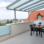 Rent 3 bedroom apartment of 140 m² in Budapest