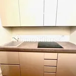 Rent 3 bedroom apartment of 90 m² in Turin