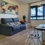 Rent 1 bedroom apartment of 40 m² in Valencia