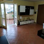 Rent 3 bedroom apartment of 80 m² in Vibo Valentia