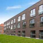 Rent 1 bedroom apartment of 39 m² in Copenhagen