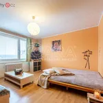 Rent 2 bedroom apartment of 38 m² in Praha