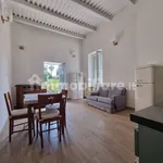 Rent 2 bedroom apartment of 45 m² in Naples