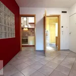 Rent 2 bedroom apartment of 47 m² in Poznan