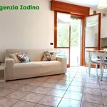 Rent 3 bedroom apartment of 64 m² in Cesenatico