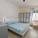 Rent 3 bedroom apartment of 65 m² in Pisa