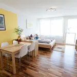 Rent 1 bedroom apartment of 33 m² in Graz