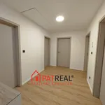 Rent 5 bedroom apartment of 181 m² in Brno