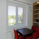 Pronájem bytu 2+1, 56 m²