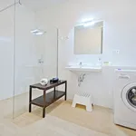 Pronajměte si 1 ložnic/e byt o rozloze 55 m² v Prague