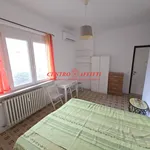 Rent 1 bedroom apartment of 40 m² in Pavia