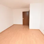 Rent 2 bedroom apartment of 53 m² in Chemnitz