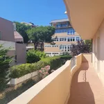 Rent 6 bedroom apartment of 220 m² in Pescara