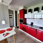 Rent 2 bedroom apartment of 43 m² in Wrocław