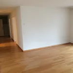 Rent 4 bedroom apartment of 91 m² in Pfäffikon