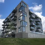 Rent 3 bedroom apartment of 70 m² in Capelsebrug