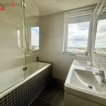 Rent 4 bedroom apartment of 150 m² in Praha