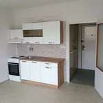 Rent 1 bedroom house in České Budějovice