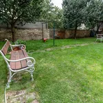 Rent 1 bedroom apartment of 135 m² in Brno