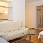 Rent 1 bedroom apartment of 35 m² in Zürich