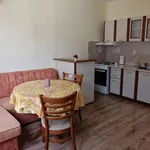 Rent 2 bedroom apartment of 60 m² in Каменица 1