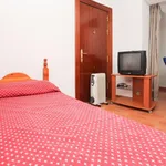 Rent 11 bedroom apartment in Granada