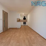 Pronajměte si 2 ložnic/e byt o rozloze 48 m² v Capital City of Prague