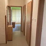 Rent 2 bedroom apartment in Sokolov