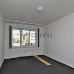 Pronajměte si 3 ložnic/e byt o rozloze 91 m² v Prague