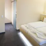 Miete 1 Schlafzimmer wohnung von 26 m² in Heidelberg