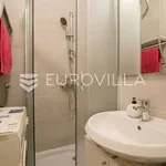 Rent 1 bedroom apartment of 50 m² in Zagreb