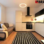 Rent 2 bedroom apartment of 35 m² in Brno