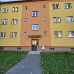 Rent 2 bedroom apartment of 60 m² in Ostrava