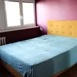 Rent 2 bedroom apartment of 46 m² in Łódź